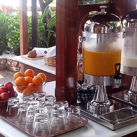 βίλλα όρσα 2* Σκιάθος Πόλη